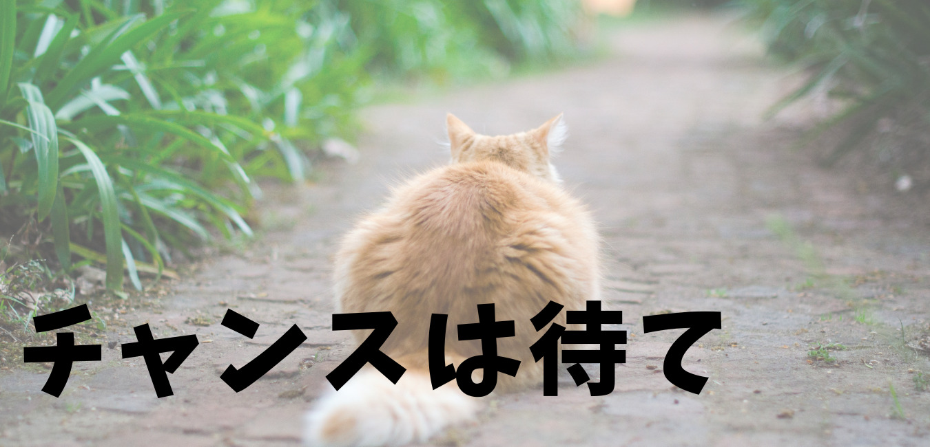 チャンスは待て